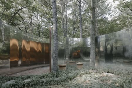 Secret Forest Tree Pavilion